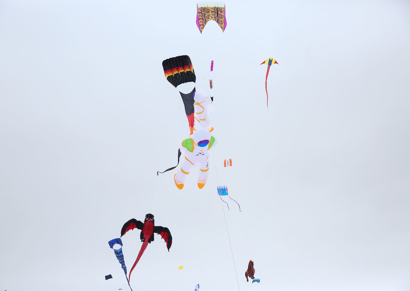 Color the Wind 25